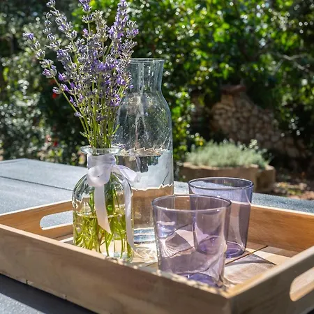 Prázdninový dům House Bibi