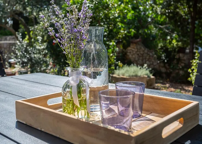 Tatil Evi House Bibi